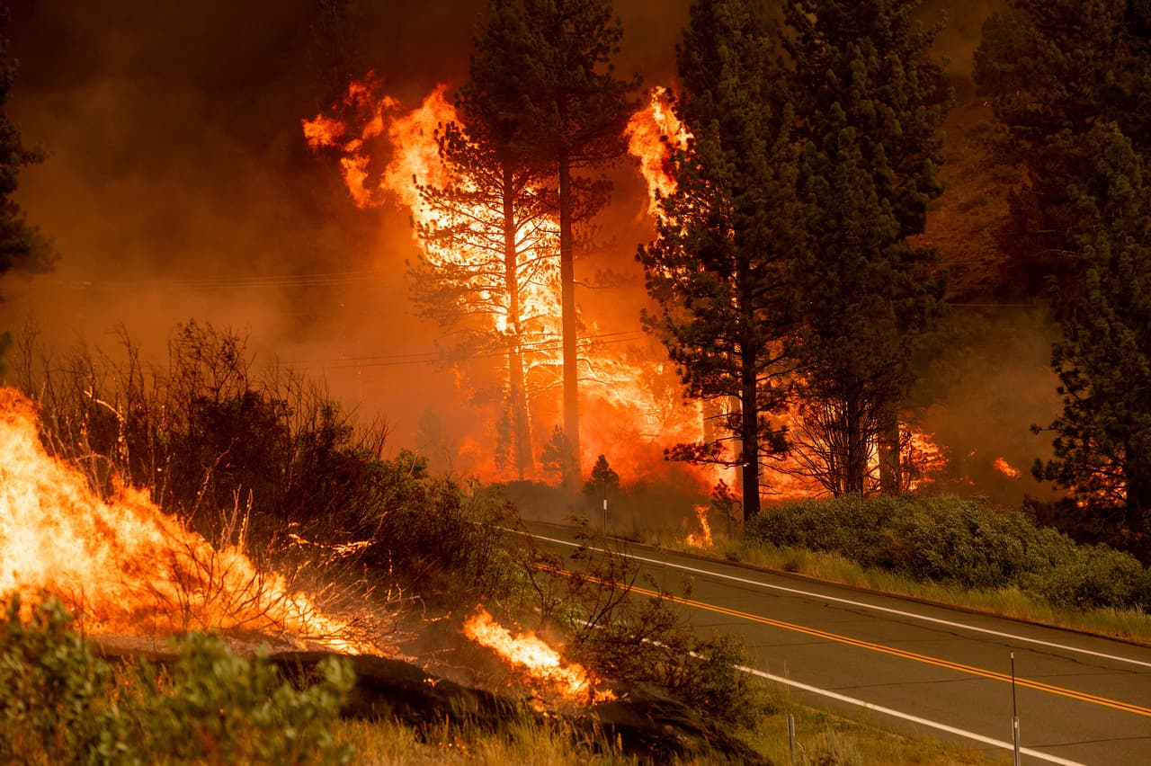 El Servicio Forestal federal señaló que al menos 16 incendios grandes ardían tan sólo en la región noroccidental adyacente al Pacífico.