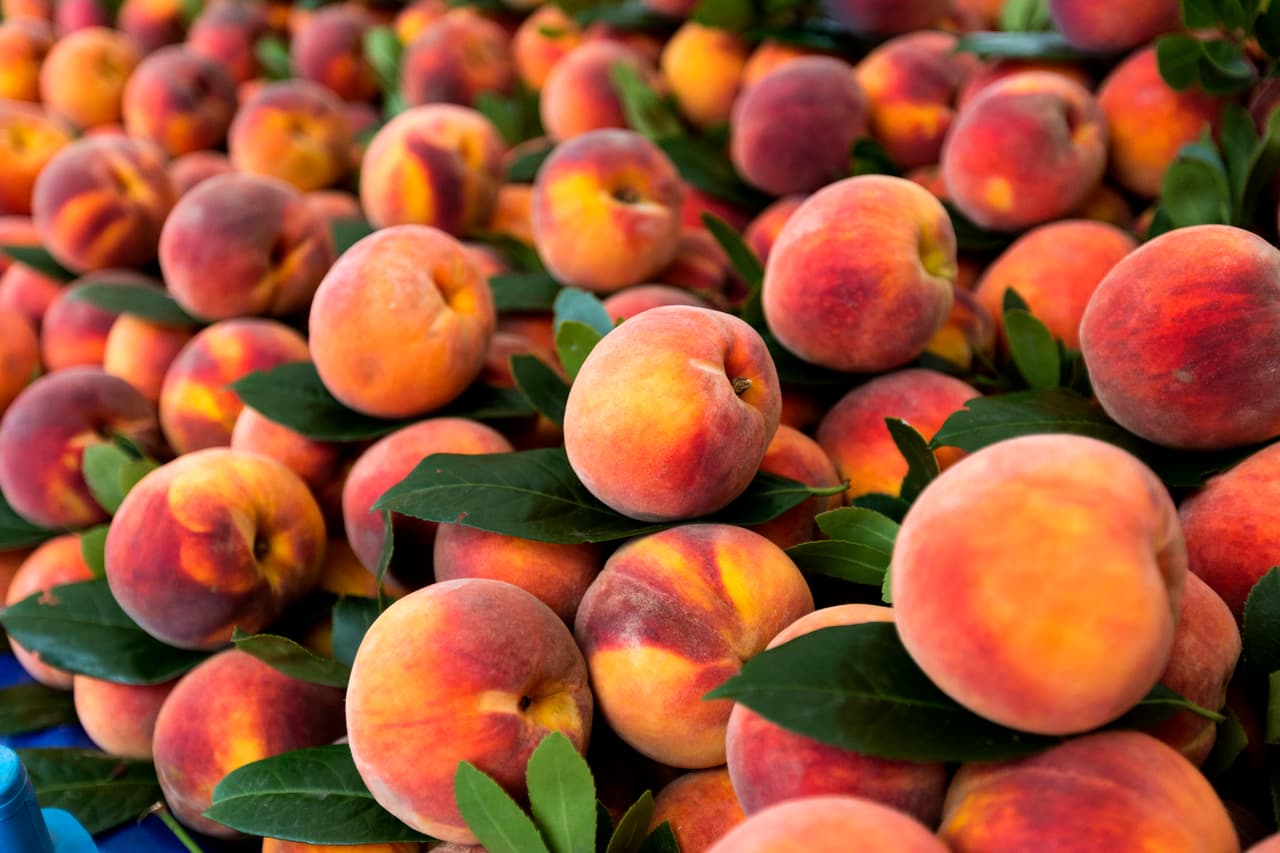 <b>Puesto 8. Melocotones.</b>
<br>
<br>Este año las pruebas del USDA encontraron residuos de pesticidas potencialmente dañinos en casi el 70% de los productos frescos no orgánicos vendidos en el país. Antes de examinar las frutas y verduras el Departamento de Agricultura las lava y pela los alimentos, tal como lo harían los consumidores.
<br>