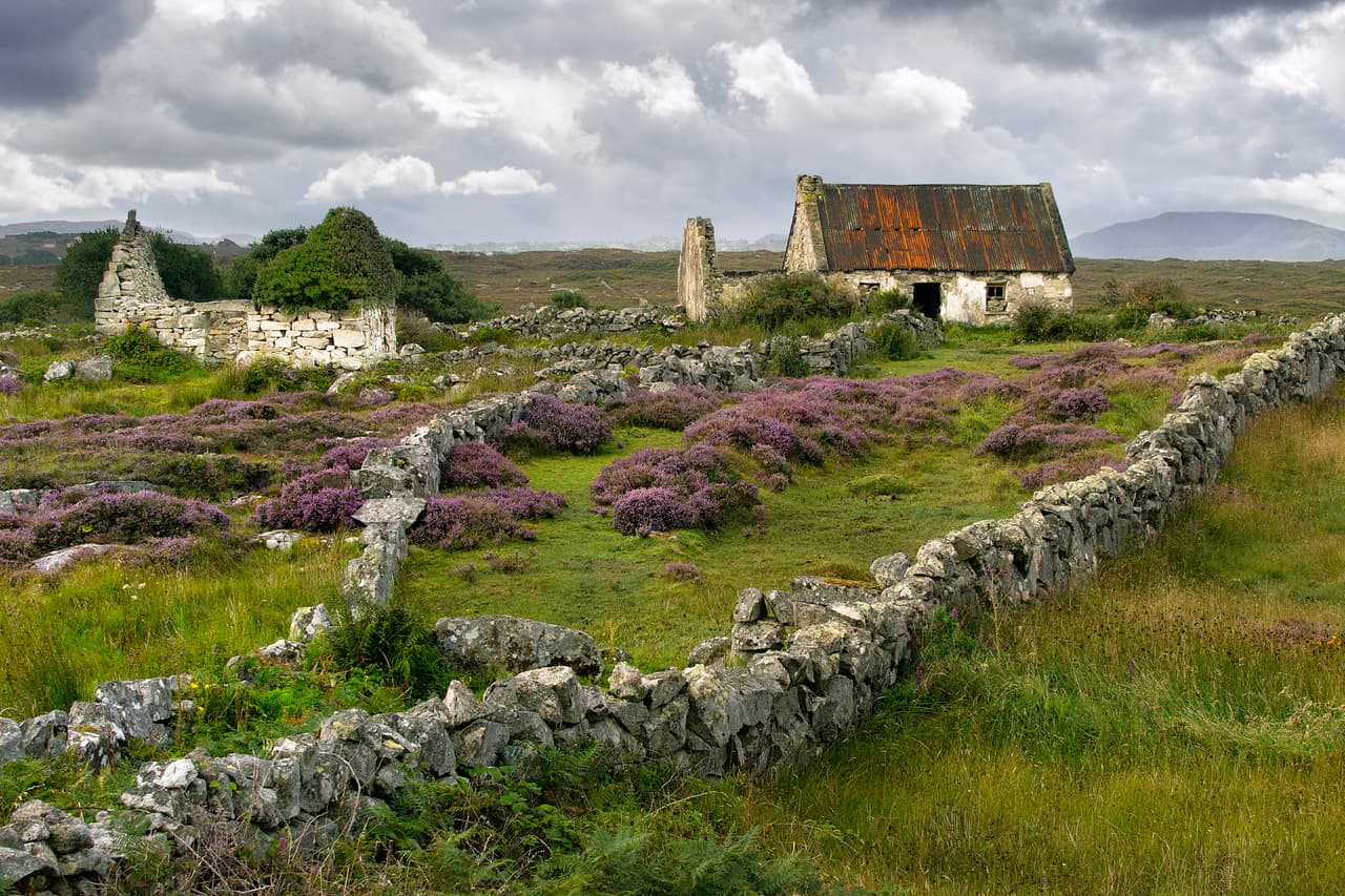 <h2 class="cms-H2-H2">12. Irlanda</h2>
<br>
<br>🧳
<b> ¿Qué lugar ocupó en 2022?</b> 8.
<br>
<br>🧳 
<b>¿Por qué está en el listado? </b>El verde de sus paisajes, la escena musical irlandesa (incluso la callejera), una interesante historia y un ambiente festivo son algunas de las ventajas que ofrece este país al viajero.
<br>
<br>🧳
<b> ¿De qué tienes que cuidarte si viajas a este país? </b>Robo de autos alquilados. Según el reporte, los coches rentados son relativamente fáciles de identificar y se convierten en un objetivo para los ladrones. Procura no dejar objetos de valor en su interior.
<br>