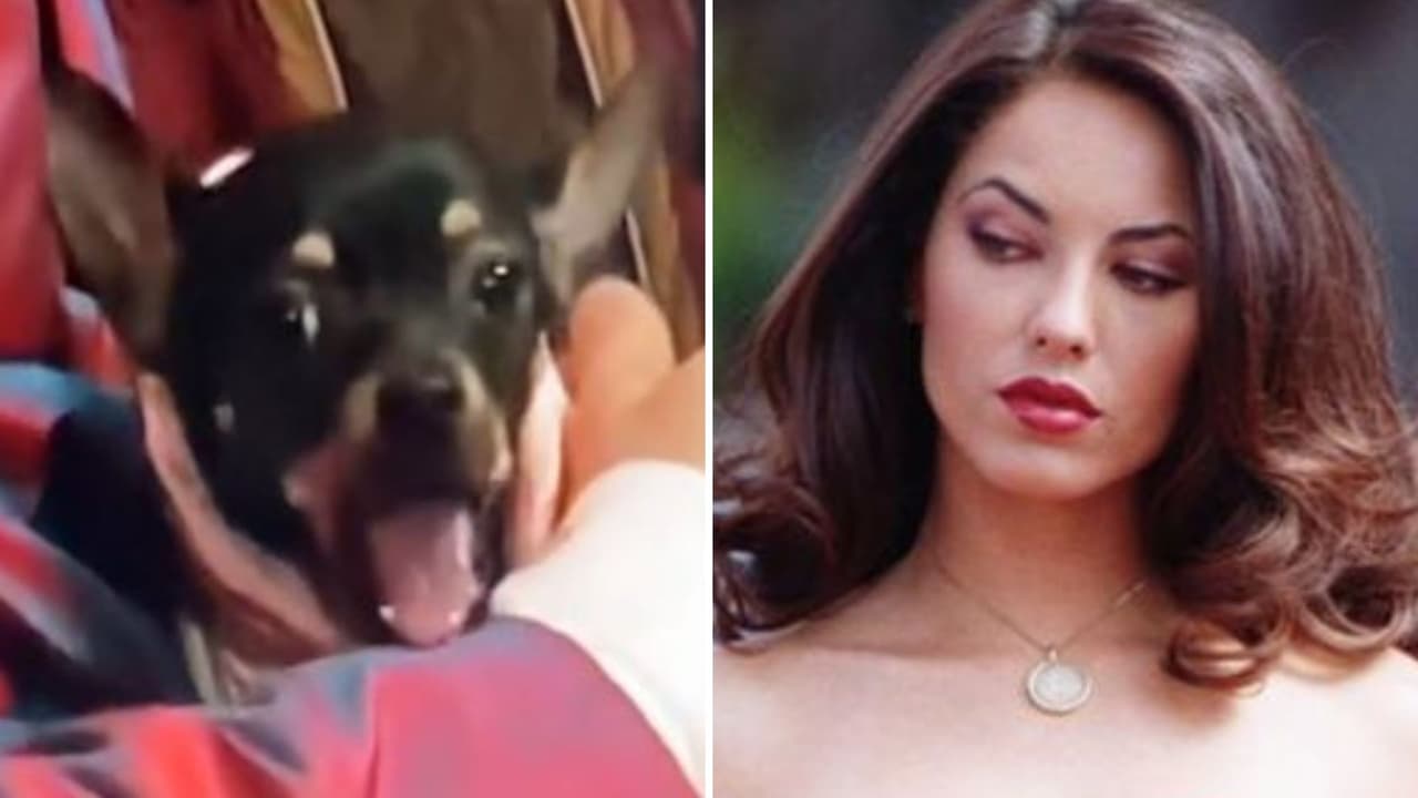 En una escena de 'Rubí' aparece un perrito que vomita y nadie se había dado cuenta (hasta ahora)