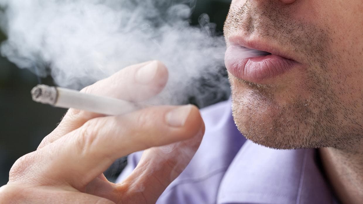 Evita 
<a href="https://www.univision.com/local/philadelphia-wuvp/una-madre-le-dio-fentanilo-a-su-bebe-de-un-ano-para-poder-relajarse-y-fumar-marihuana">fumar</a> en bosques o pastizales. Evita arrojar colillas de cigarro encendidas, pueden generar incendios en pastizales, manglares, selvas y bosques.
<br>