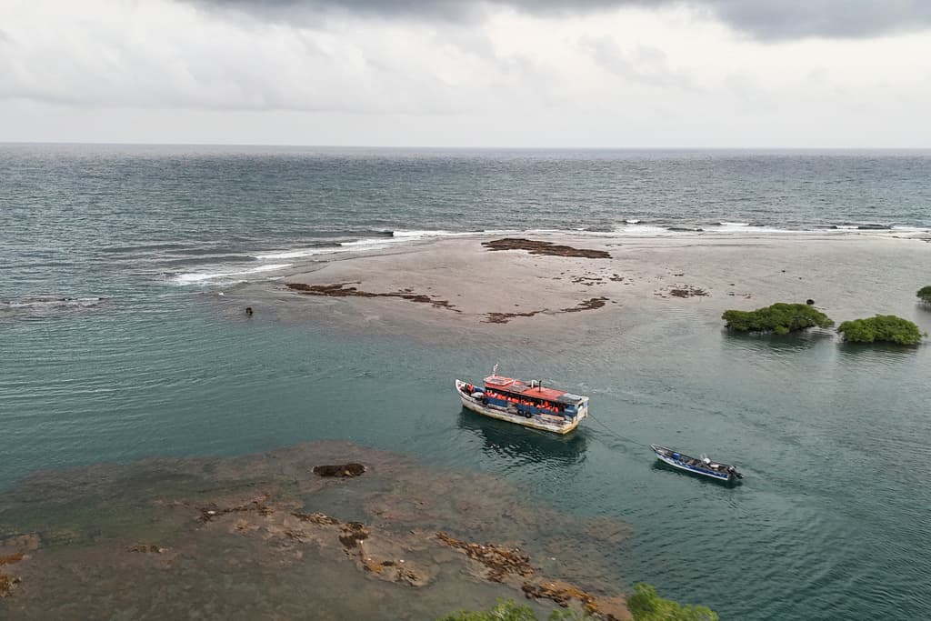 Costa Rica y Panamá coordinan el transporte a sus países de los migrantes que regresan tras no conseguir entrar a EEUU 