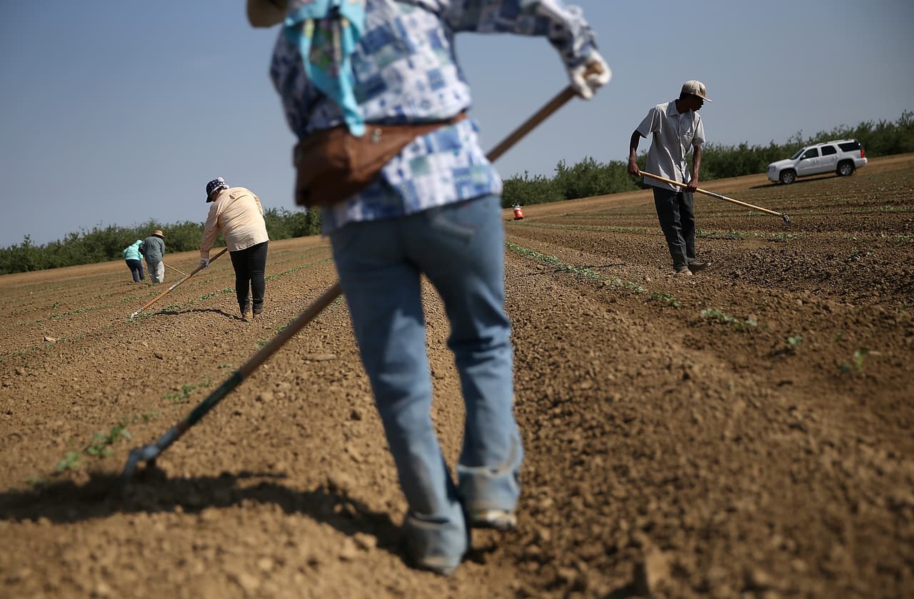 “Cebolla Floreciente fue solo la punta del iceberg”: organizaciones piden que se investigue los abusos a trabajadores agrícolas