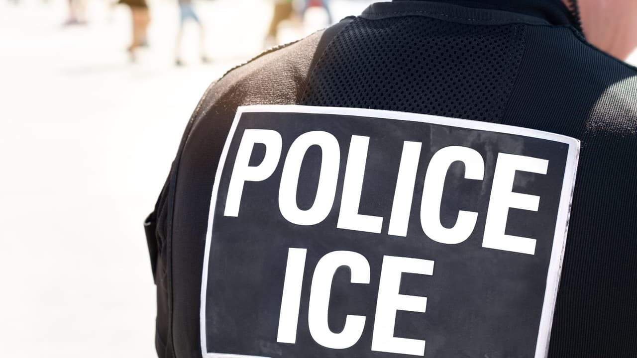 <h3 class="cms-H3-H3">¿Y qué pasa con mi licencia de conducir? </h3>
<br>Otra confusión común 
<b>es pensar que la licencia de conducir en sí demuestra tu estatus migratorio.</b> Pero eso tampoco es cierto. “
<a href="https://www.univision.com/local/dallas-kuvn/estatus-migratorio-licencia-conducir-documentos-green-card-estados-unidos" target="_blank">La licencia de conducir no verifica si una persona tiene permiso para vivir y trabajar en Estados Unidos</a>, 
<b>solo sirve para conducir legalmente en el estado</b>.” Armando Olmedo, vicepresidente y consejero legal de inmigración de TelevisaUnivision. 
<br>Esto quiere decir que, aunque tengas una licencia con REAL ID, si una autoridad migratoria te la pide, no es suficiente: 
<b>necesitas mostrar tus documentos oficiales de inmigración. </b>