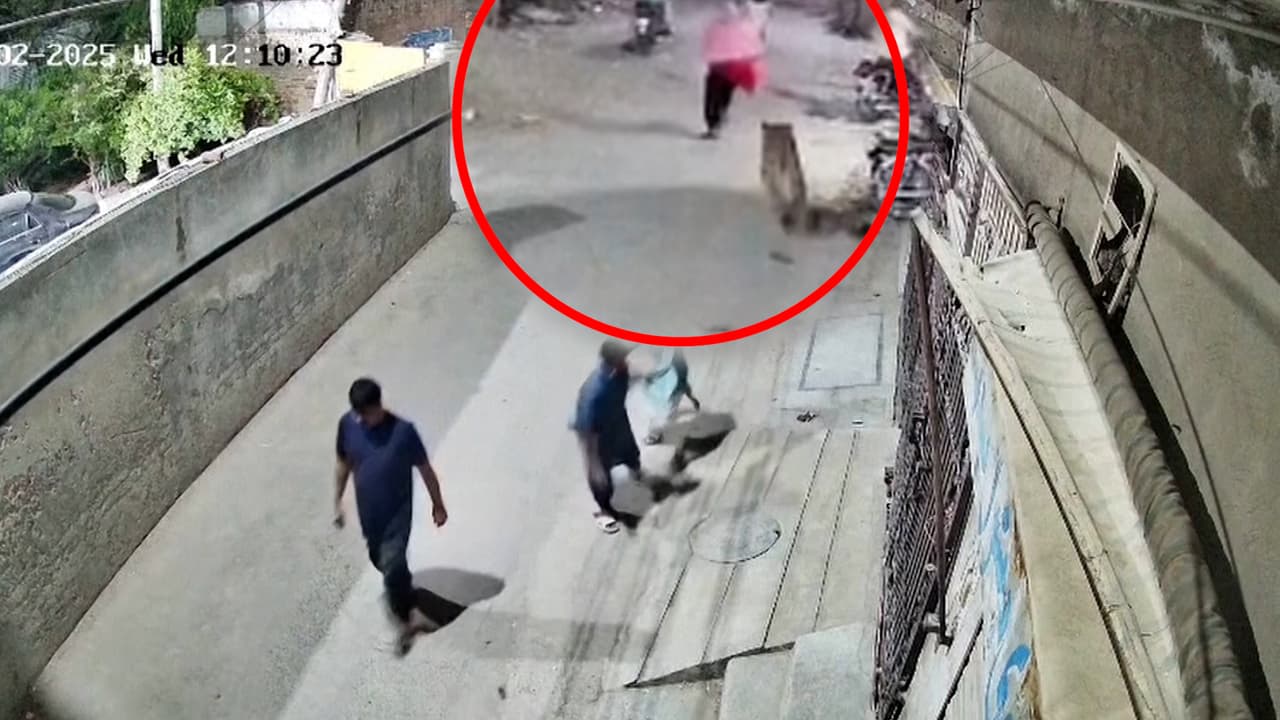 Un león se escapa y ataca a una mujer y sus hijos en medio de la calle