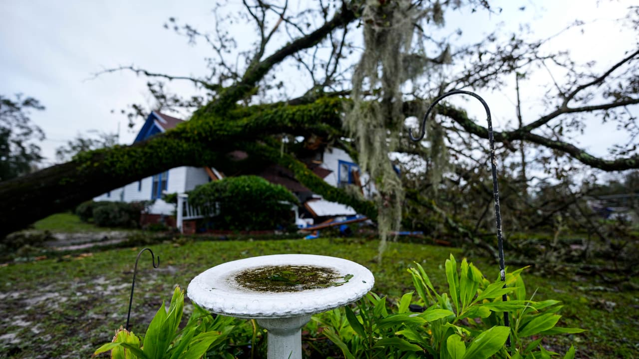 <b><a href="https://www.univision.com/local/atlanta-wuvg/huracan-helene-mueren-dos-georgia-tornado-casa-rodante" target="_blank">Dos de las víctimas</a></b> murieron luego de que un 
<b><a href="https://www.univision.com/local/atlanta-wuvg/como-sobrevivir-tornado-huracan-helene-florida-o-georgia-fotos" target="_blank">tornado</a></b> tocara tierra en el condado Wheeler.