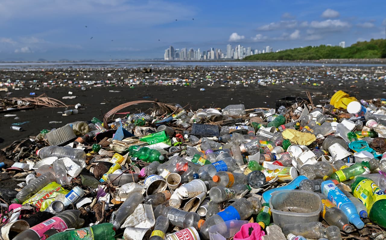 Basura global: 20 compañías producen el 55% de los plásticos de un solo uso en todo el mundo