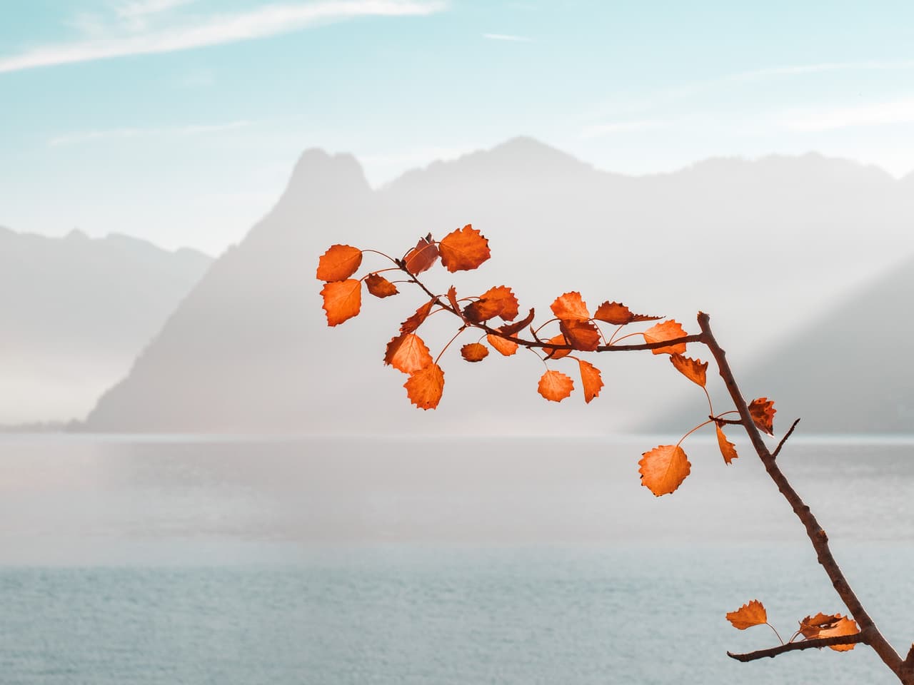 <b>¿Por qué altera el parque el estado de ánimo? </b>
<br>Una de las razones es que la naturaleza reduce nuestra tendencia a rumiar las cosas, ese estado mental en el que no paramos de pensar en todo lo que puede ir mal, como un disco rayado. Esa es, en esencia, la conclusión de 
<a href="http://www.pnas.org/content/112/28/8567.abstract">otro estudio</a> que examina los mecanismos neurológicos que se producen cuando estamos en la naturaleza. “Salir a la naturaleza podría ser una forma fácil y casi inmediata de mejorar el estado de ánimo”, 
<a href="http://well.blogs.nytimes.com/2015/07/22/how-nature-changes-the-brain/?_r=0">resume Bratman</a>.
<br>