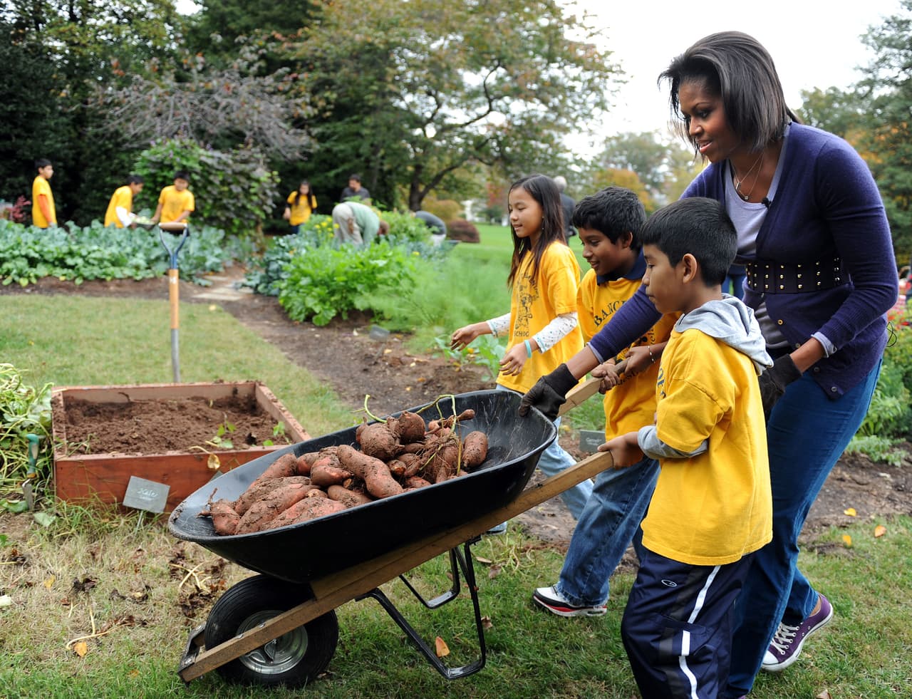 Año tras año, Michelle Obama, acompañada de estudiantes, sembró diferentes tipos de verduras y hortalizas en el huerto que creó en el área sur de los jardines de la casa Blanca.
