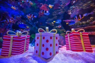 <b>Decoración navideña en el Museum of Illusions</b>: El museo ofrece una experiencia invernal con decoraciones festivas, haciendo que cada rincón del lugar se sienta como parte de un cuento de Navidad.