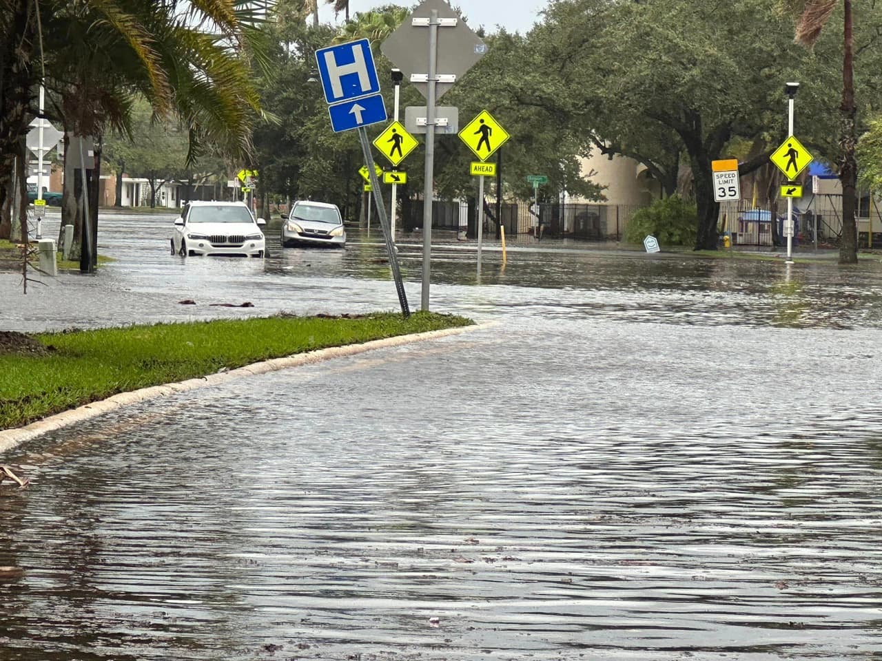 El 
<b>huracán Idalia tocó tierra casi las 7:00 de la mañana del miércoles con vientos de 125 mph</b> en el condado Taylor, en la costa noroeste de la Florida. En 
<a href="https://www.univision.com/local/orlando-wven/en-vivo-tormenta-idalia-huracan-2023-florida" target="_blank">este enlace</a> puedes seguir la trayectoria del huracán Idalia por Estados Unidos.