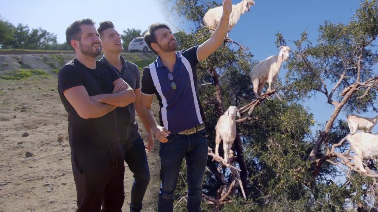 De Viaje Con Los Derbez: la familia descubre por qué las cabras se fueron al árbol
