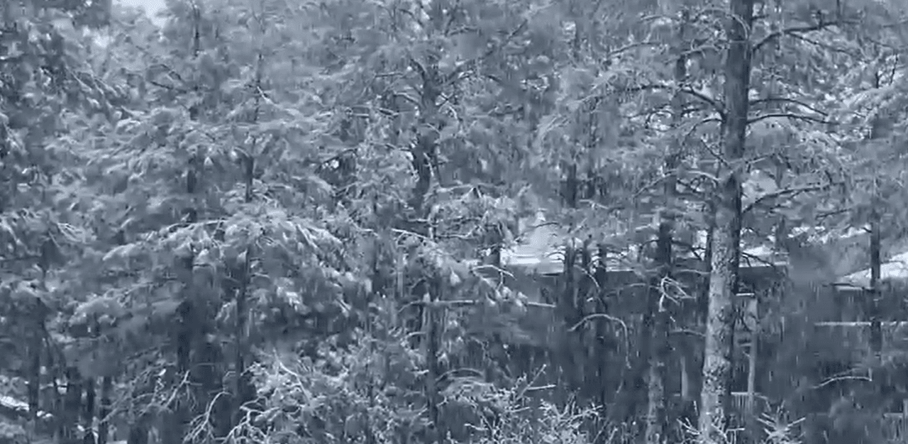 En Flagstaff podrían acumularse 
<b>hasta 2 pies de nieve</b>.