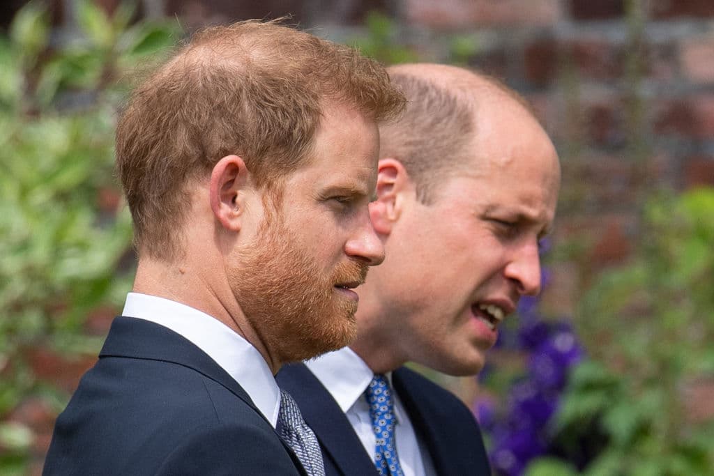 Cumpliría 60 años: los príncipes Harry y William dejan sus diferencias en homenaje a su madre