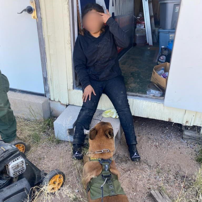 Cuatro migrantes fueron detenidos en el hecho; uno de ellos resultó herido en el accidente.
