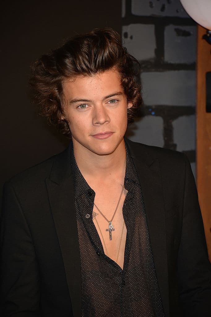Harry ha mantenido una amistad de mucho tiempo con su compañero músico, Ed Sheeran y ambos comparten los mismos tatuajes.