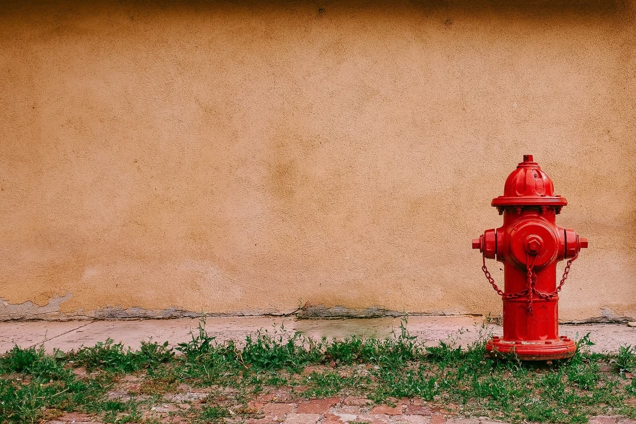 Practica escapar de su hogar al menos dos veces al año. Presiona el botón de prueba de alarma de humo o grite "Fuego" para alertar a todos de que deben salir.