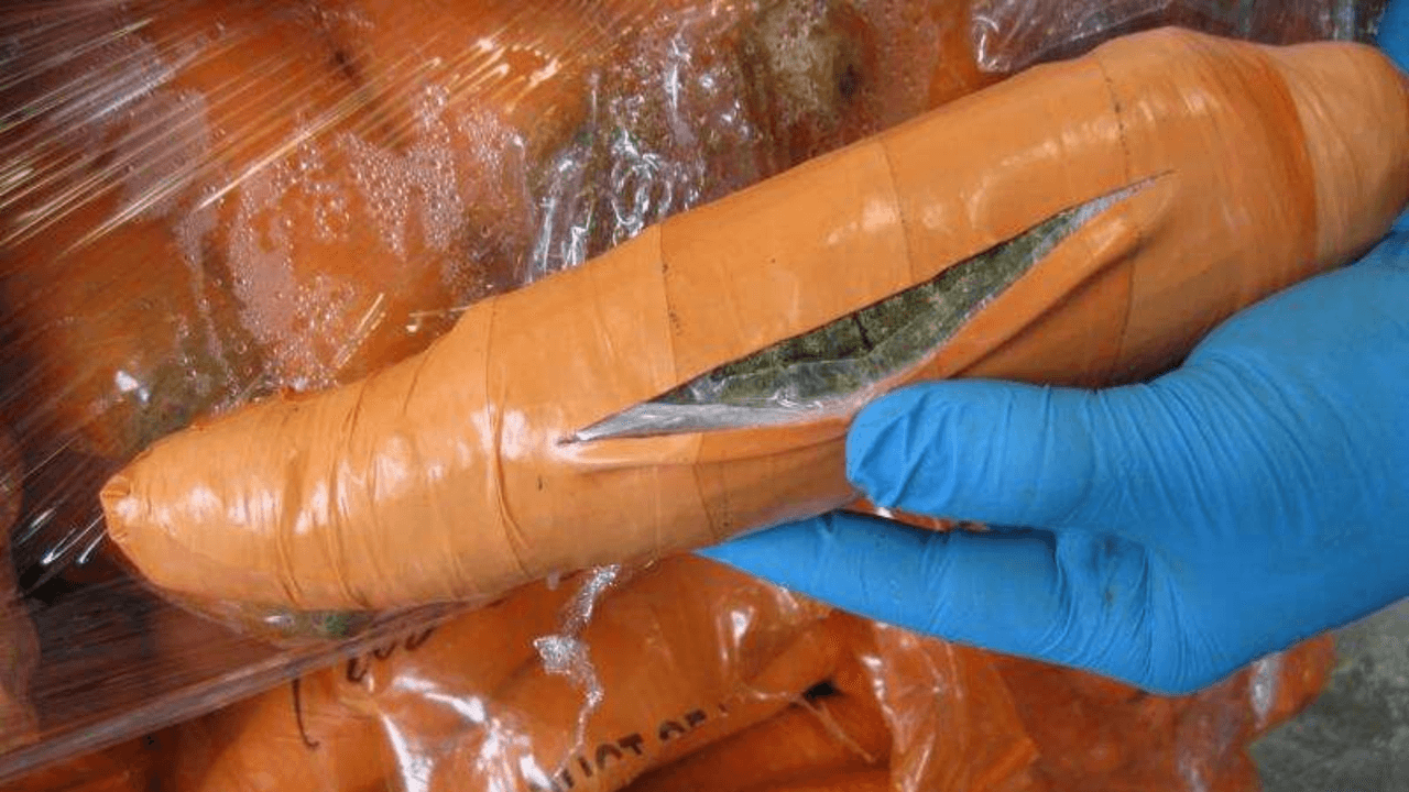 <h3 class="cms-H3-H3"><b>Dentro de zanahorias falsas</b></h3>
<br>Un cargamento de zanahorias frescas 
<a href="https://www.univision.com/local/san-antonio-kwex/noticias/narcotrafico/hallan-una-tonelada-de-marihuana-proveniente-de-mexico-camuflada-en-zanahorias" target="_blank">no aparentaba ser lo que parecía</a>. Algunas “zanahorias”, en realidad eran paquetes de supuesta marihuana de color naranja en forma del vegetal. Las autoridades encontraron 2,493 libras de la droga. Esto fue en el Puente Internacional Pharr-Reynosa, en enero de 2016.