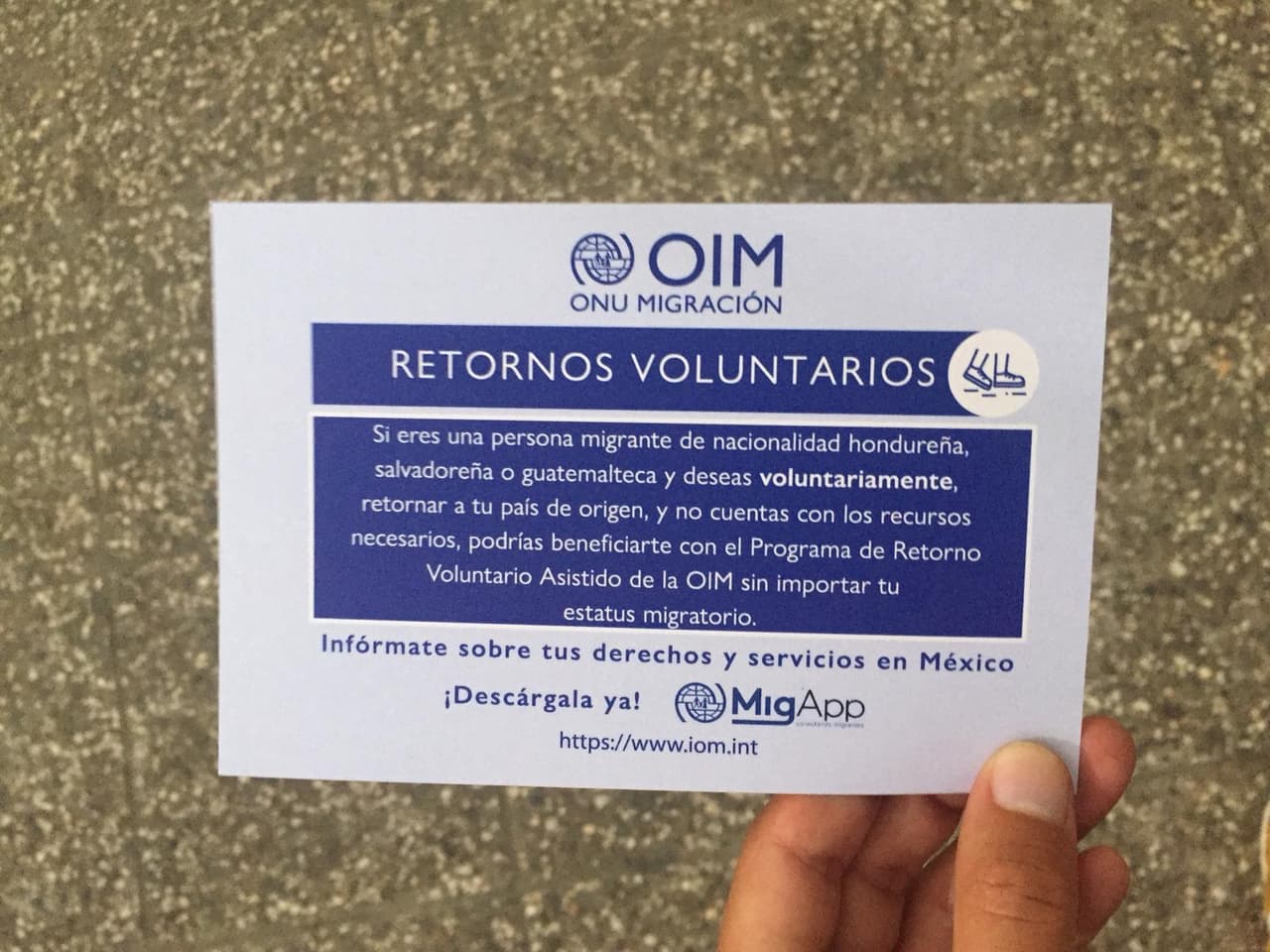 El gobierno de Honduras junto con la Organización Internacional para las Migraciones (OIM) ofrece además asistencia a los migrantes que deciden regresar voluntariamente a sus hogares.