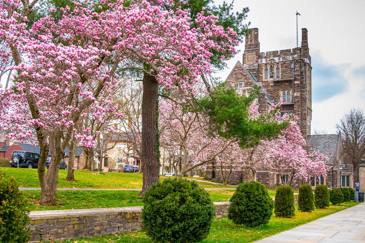 <b>Puesto 7. Universidad de Princeton</b>
<br>
<br>Tasa de aceptación: 6%.
<br>
<br>Lugar: Princeton, New Jersey.
<br>
<br>Fue fundada en 1746 originalmente con el nombre de The College of New Jersey y en 1896 su nombre cambió a Princetown. Es una de las nueve escuelas coloniales que fueron autorizadas antes de la Revolución Americana. Pertenece a la Ivy League y en su clase más reciente aceptó a unos 8,500 estudiantes de pregrado. Entre sus egresados hay dos presidentes de Estados Unidos.
<br>