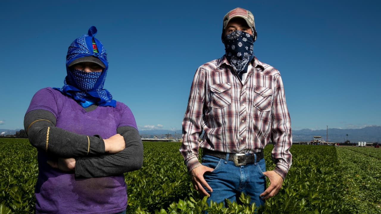 Trabajadores agrícolas recibirán más de 900,000 mascarillas y equipos de protección en Carolina del Norte