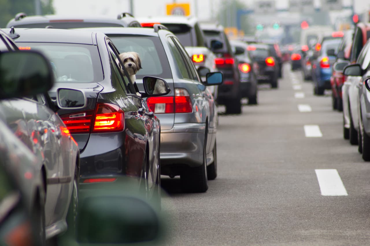 <u><b>Segundo Paso:</b></u> Hacer 
<b>una cita en <a href="https://www.nj.gov/mvc/" target="_blank">NJMVC.gov</a></b> para solicitar un permiso de conducir de Nueva Jersey.