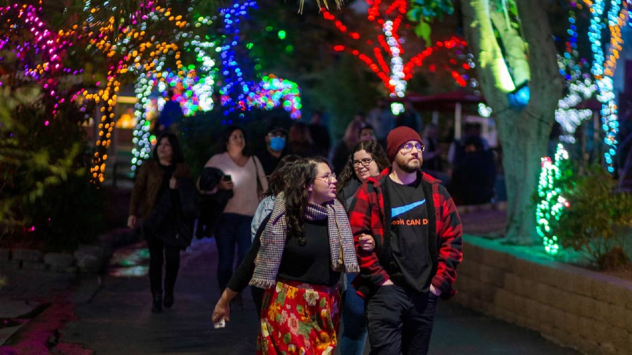 <b>Zoolights</b>
<br>Cuándo: 22 de noviembre al 14 de enero de 2024
<br>Dónde: 455 North Galvin Parkway, Phoenix
<br>Costo: A partir de $30 
<br>
<a href="https://www.phoenixzoo.org/events/zoolights/" target="_blank">Más detalles en este enlace.</a>