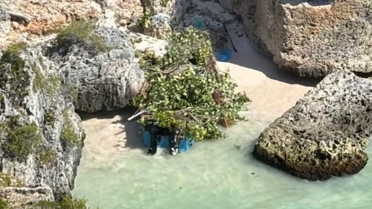 Inmigrantes detenidos en la Isla de Mona: ¿una nueva ruta para cruzar el Caribe?