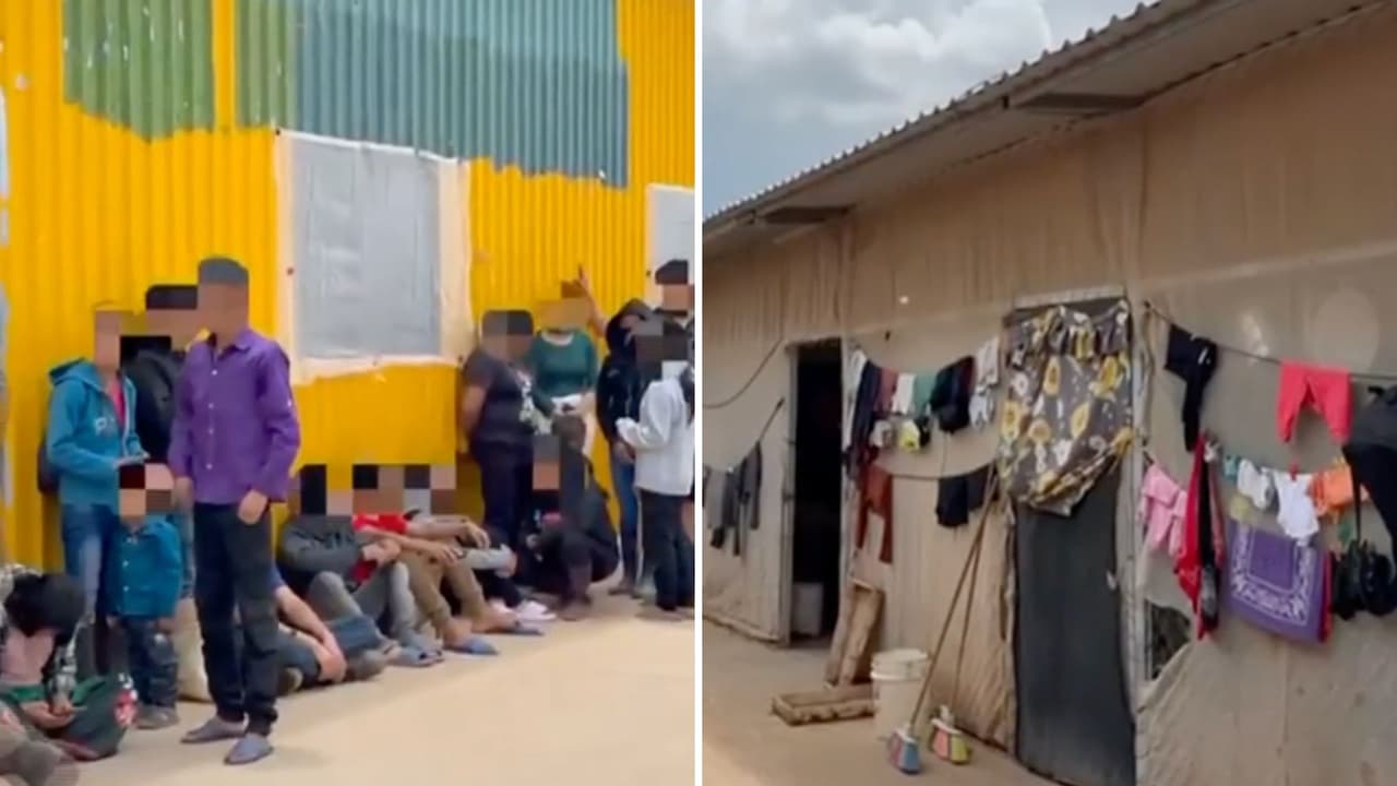 Hacinadas y en condiciones infrahumanas: rescatan a más de 700 personas explotadas laboralmente