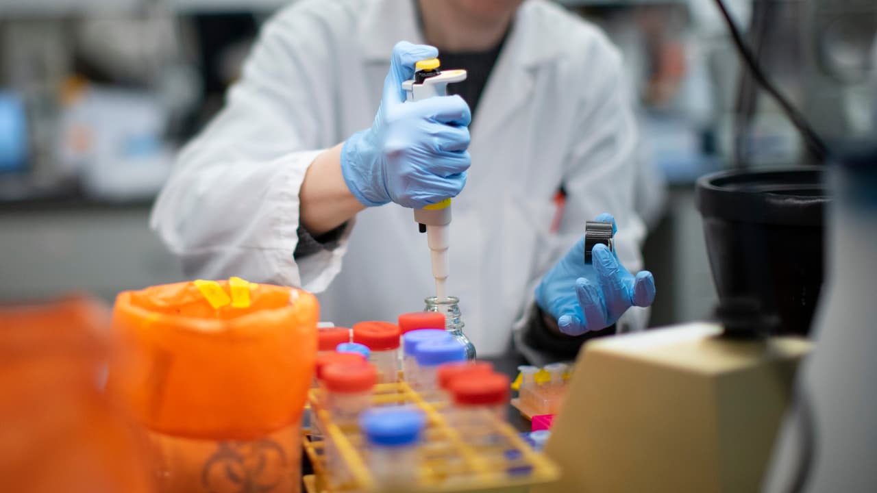 Coronavirus: Arizona recibe $150 millones del gobierno federal para combatir el coronavirus