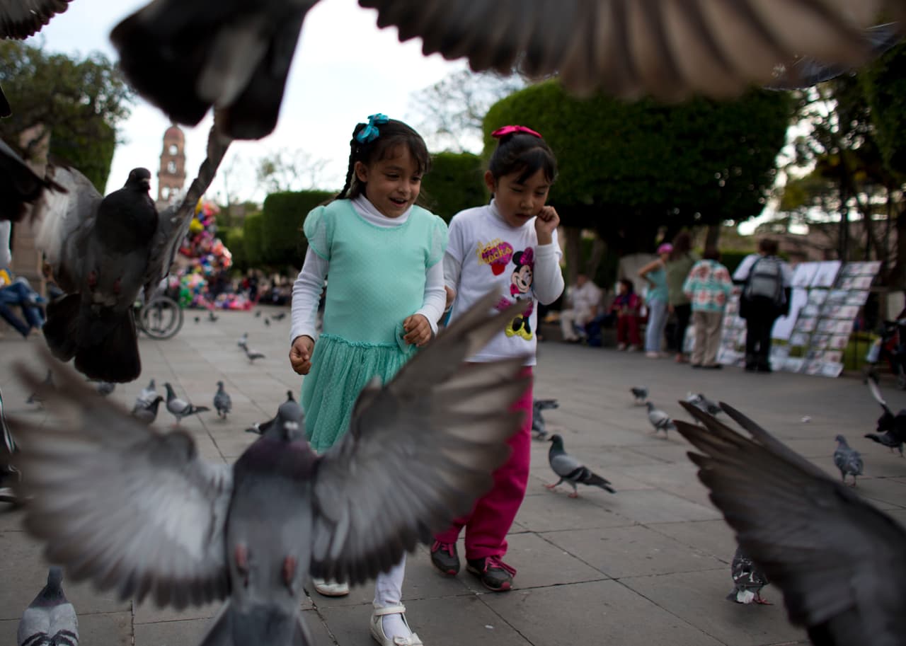 Un par de niñas juegan con unas palomas en lo que esperan la llegada del papa Francisco en la plaza principal de Morelia, Michoacán.
