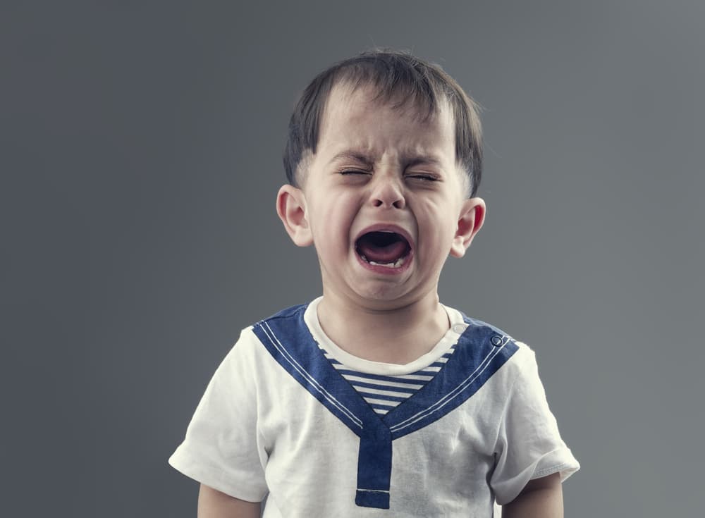 <b>PISCIS</b>
<br>Seguramente está llorando en este momento. Son los más sensibles del Zodiaco así que todo les afecta. Lloran a moco tendido y desconsoladamente.