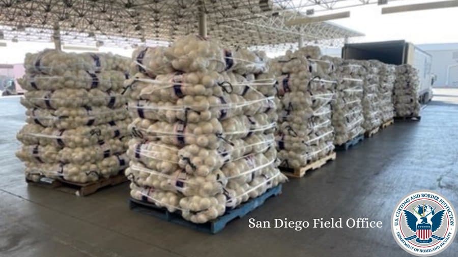 Este cargamento ilícito pesó 1,336 libras y fue valorado en casi de 3 millones de dólares. El chofer afirmó que solo llevaba cebollas, pero un perro policía en un pase fronterizo en San Diego, detectó algo más.
