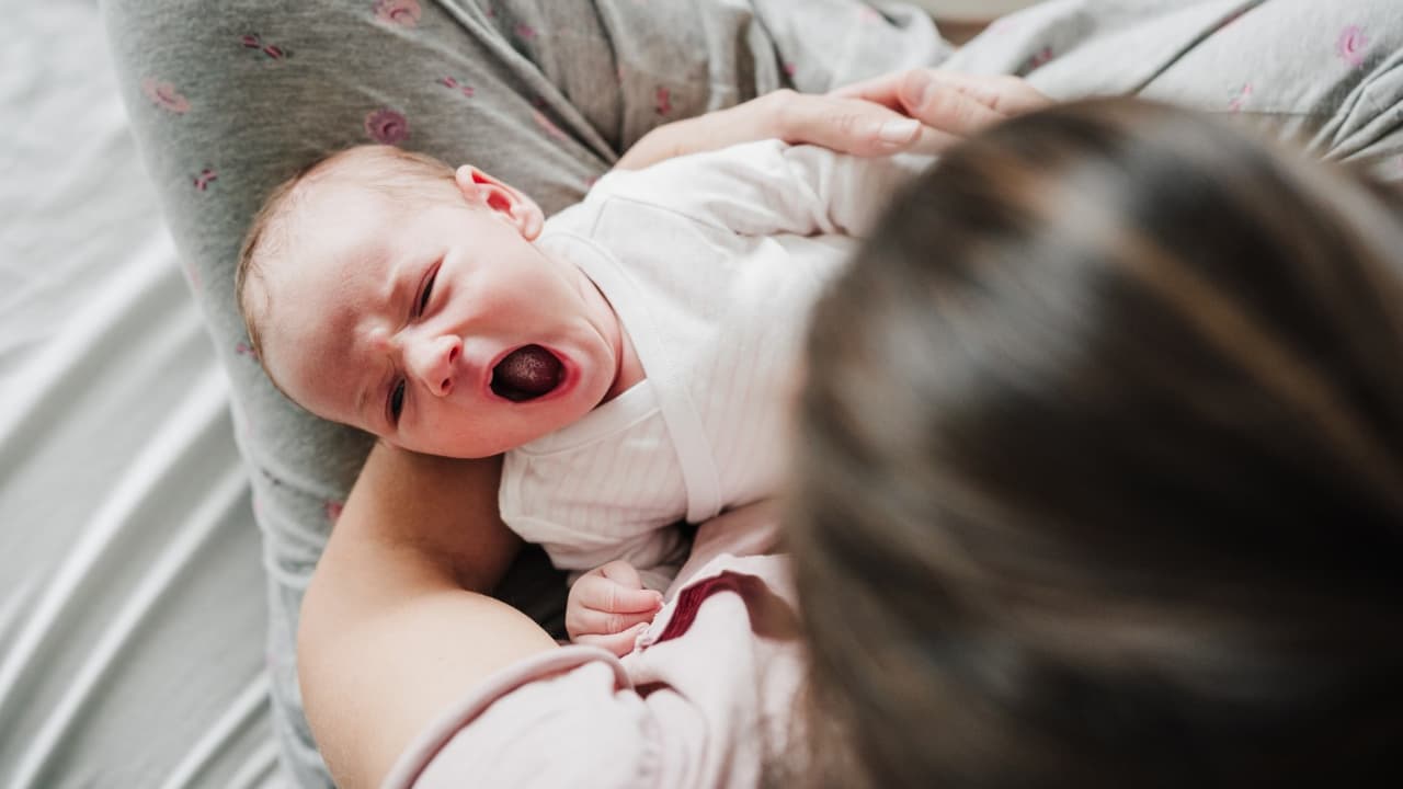 "Hay estudios que dicen que resaltan la importancia de hablar con tu hijo de una forma directa pero sencilla, no una comunicación con vocabulario complejo, de la manera en la que hablarías con un familiar para que los niños vayan aprendiendo y entendiendo el vocabulario, el buen hablar", expresó la especialista.