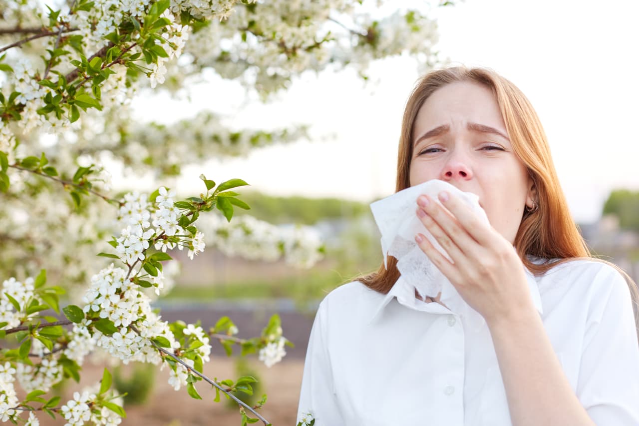 <b>¿QUÉ PROBLEMAS DE SALUD CAUSA?</b> Para las personas con fiebre del heno, también conocida como "rinitis alérgica", respirar polen puede causar estornudos, congestión y secreción nasal.