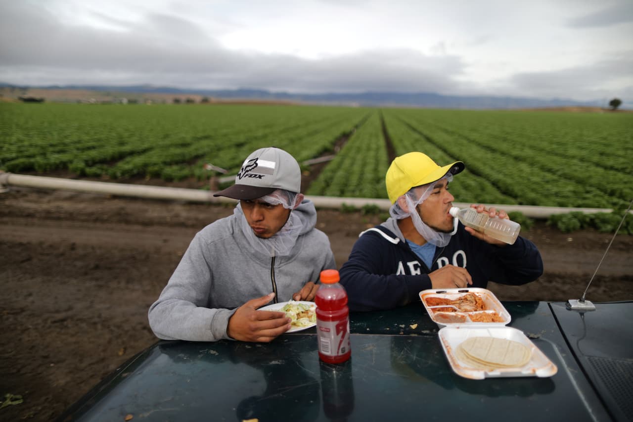 <b>Menos inmigración legal. </b>Los inmigrantes mexicanos Jesús Martin Ley Lugo y Rogelio García Parria tienen visas H-2A, con las que trabajan legalmente en EEUU. La fotografía fue tomada cuando tomaban un descanso de la cosecha de lechuga romana en King City, California. 
<b><a href="https://www.univision.com/noticias/visas/trabajadores-con-visas-h2-a-denuncian-que-fueron-despedidos-tras-iniciar-una-huelga">La visa H-2 es usada por trabajadores temporales no profesionales</a></b>, y la emisión de este tipo de permisos también será reducido en administración de Donald Trump.