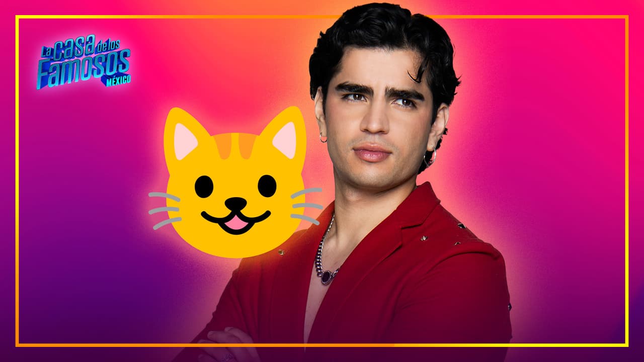 La cara de gatito es lo que más ama enviar Aarón Mercury