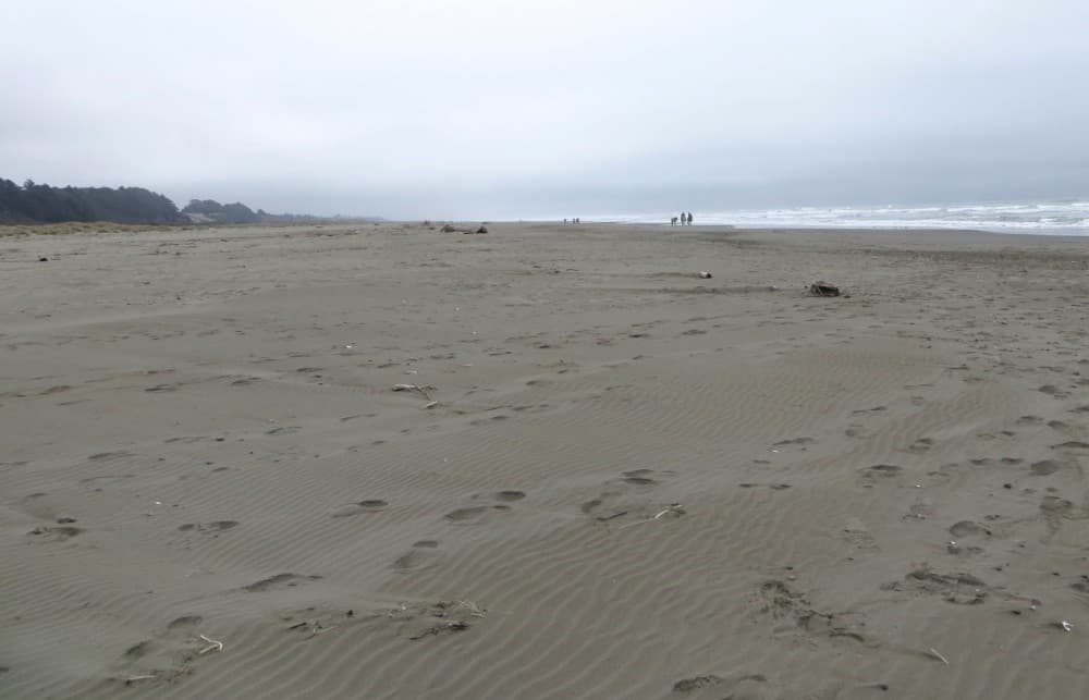 Una de las playas del condado de Los Ángeles se ubicó entre las 10 más contaminadas de California, mientras 10 de las playas del condado de Orange y otras 7 del condado de Los Ángeles se ubicaron entre las más limpias del estado. 
<br>
<br>
<h3 class="cms-H3-H3">Estas son las 10 playas más contaminadas de California.</h3>