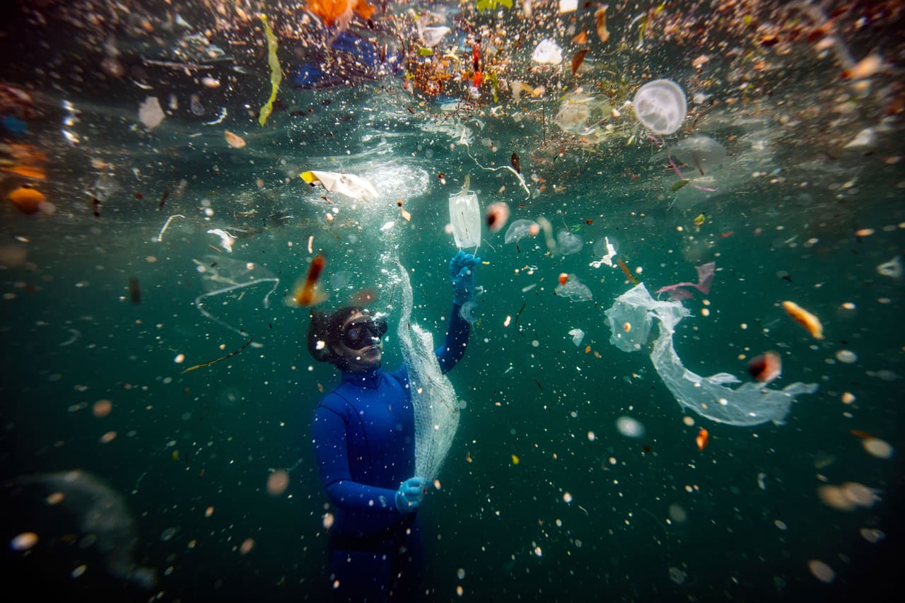 <b>‘Desechos del covid-19’</b>
<br>
<br> Mascarillas y otros desechos médicos en el mar en Turquía, tercer lugar en la categoría ‘gente y naturaleza’ del 
<a href="https://www.nature.org/en-us/get-involved/how-to-help/photo-contest/2021-winners/"><u>premio </u><i>The Nature Conservancy </i><u>2021</u></a>
<i>.</i>
<br>
<br> La organización ecologista 
<i>The Nature Conservancy</i> (Conservación de la Naturaleza, en español), estableció este importante concurso anual de fotografía para promover la protección del medio ambiente. La edición de 2021 recibió más de 100,000 imágenes de 158 países.