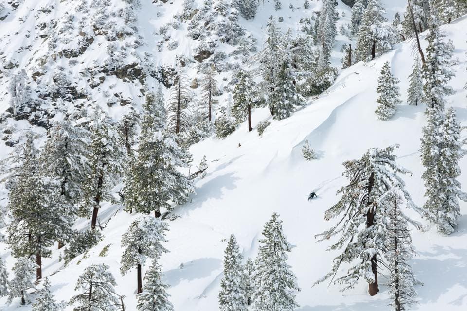 <b>Mt Baldy Resort:</b>
<br>Es una estación de esquí ubicada en Mount San Antonio, Mount Baldy en las montañas de San Gabriel y está abierto para disfrutar de algunas actividades al aire libre. En su 
<a href="https://mtbaldyresort.com/" target="_blank">página web</a> puedes encontrar la información para planificar tu visita.
<br>
<br>
<b>Dirección:</b> 8401 Mt Baldy Rd, Mt Baldy, CA 91759 está a unos 45 minutos en viaje por carretera desde de Los Ángeles.