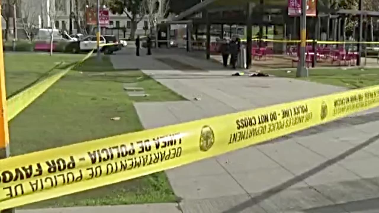 Adolescente es arrestado por presuntamente apuñalar a menor que participaba en las protestas contra las deportaciones en Los Ángeles