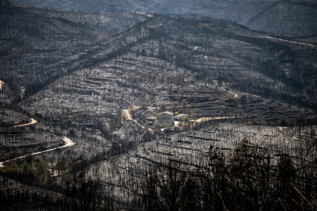 Una vista del bosque después de un incendio forestal cerca de El Pont de Vilomara, España, el martes 19 de julio de 2022. Cientos de residentes evacuados por un incendio forestal en Bages, en el noreste de España, estaban ansiosos por regresar a sus hogares y evaluar la extensión del daño. Las autoridades de Cataluña desplegaron decenas de aviones y helicópteros de extinción de incendios para tratar de contener la propagación del fuego que devastó varias casas y quemó más de 1,600 hectáreas (3,953 acres).