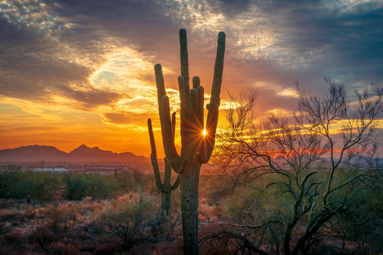 <b>Puesto 7 de las ciudades donde el salario rinde más | Scottsdale, Arizona</b>
<br>
<br>🔘 El ingreso promedio anual de un hogar en esa ciudad es de $91,042.
<br>🔘 Los cheques que recibe un hogar quincenalmente ascienden a $3,502.
<br>🔘 El monto de cubrir las necesidades básicas es de $1,739.
<br>🔘 Por ello, sobran $1,762 de cada cheque.