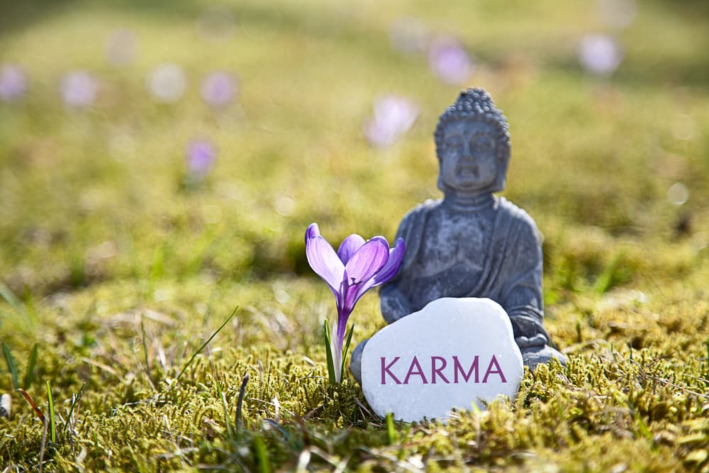 En nuestra vida diaria ocurre así, el Karma nos equipa, pero en base a ese Karma vamos construyendo y forjando diariamente nuestro propio destino. Hay quienes saben que una relación no les conviene y se mantienen en ella ¿destino o mal juicio? 
<br>
<br>
<a href="http://www.univision.com/entretenimiento/predicciones-horoscopos/conoce-el-karma-de-tu-signo-es-bueno-o-es-malo-fotos" target="_blank">Entra aquí para conocer el karma de tu signo</a>