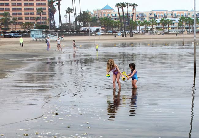 El reporte anual de 
<a href="https://healthebay.org/beachreportcard2021/" target="_blank">Heal The Bay</a> reveló la clasificación de las playas de 
<a href="https://www.univision.com/temas/california">California</a>, el cual "clasifica las playas más contaminadas 
<b>según los niveles de bacterias dañinas en el océano".</b>