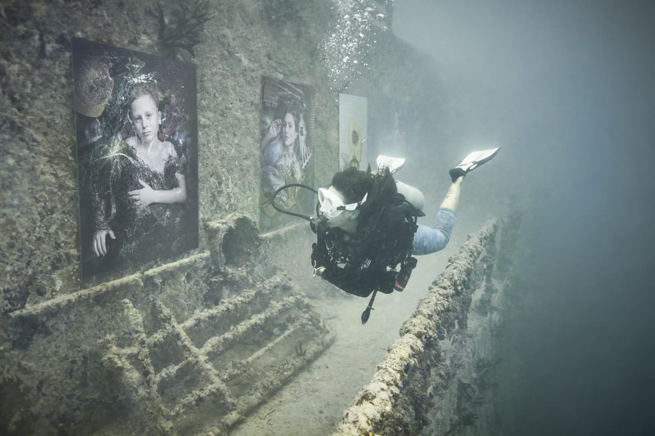 Esta peculiar exhibición marina solo puede ser vista buceando alrededor del lugar.