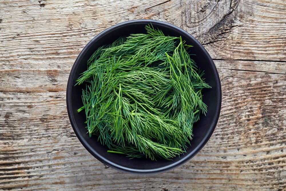 Entre sus múltiples propiedades medicinales, el eneldo funciona como un importante vasodilatador, pues ayuda a restablecer el flujo sanguíneo y favore el sistema cardiovascular. O sea, es un potente antinflamatorio que protege al corazón.
