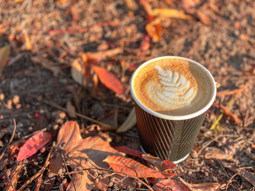 <b>Cafe Comma</b>
<br>Dirección: 3621 Vinings Slope SE Ste 4150 Atlanta, GA 30339
<br>Sitio web: 
<a href="https://www.atlcafecomma.com">https://www.atlcafecomma.com</a> 
<br>
<a href="https://www.yelp.com/map/cafe-comma-atlanta-2"><b>Cómo llegar</b></a>
<br>
<br>Aseguran que su menú de bebidas incluye cafés tradicionales, así como bebidas de café especiales, también ofrecen variedades de pasteles, sándwiches, tostadas abiertas y otros alimentos.