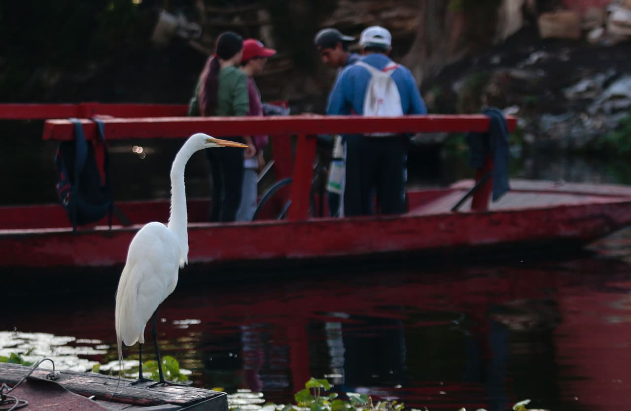 Xochimilco
