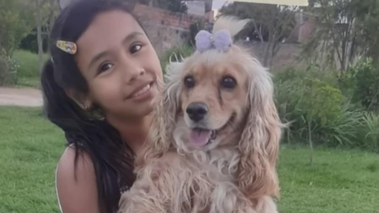 <b>"Ella suplicaba": niña de 10 años es asesinada por exconvicto a pocos días de ser liberado</b>
<br>
<br>La abuela de la menor terminó gravemente herida cuando intento defenderla y el perro de la casa también fue víctima de este crimen atroz. La mujer de 67 años continúa en cuidados intensivos luego de recibir 20 puñaladas.